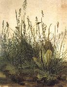 Albrecht Durer The Great Ture china oil painting reproduction